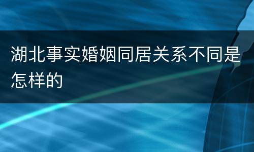 湖北事实婚姻同居关系不同是怎样的