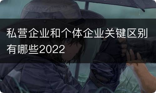 私营企业和个体企业关键区别有哪些2022