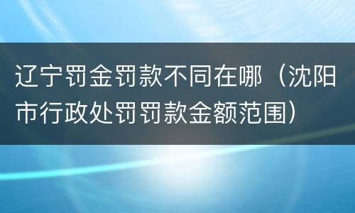 辽宁罚金罚款不同在哪（沈阳市行政处罚罚款金额范围）