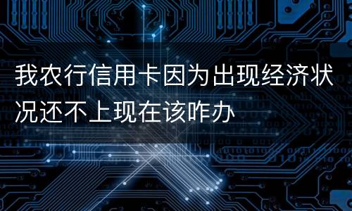 我农行信用卡因为出现经济状况还不上现在该咋办