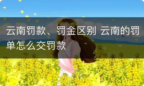云南罚款、罚金区别 云南的罚单怎么交罚款