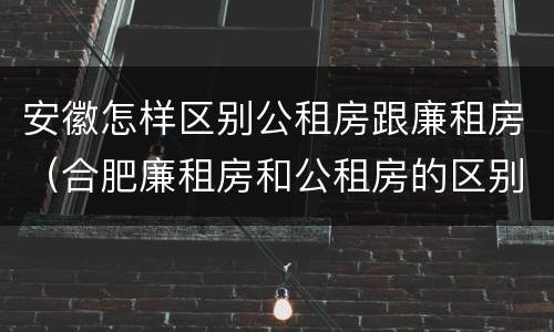 安徽怎样区别公租房跟廉租房（合肥廉租房和公租房的区别）