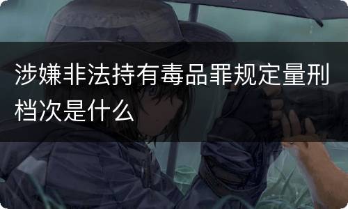 涉嫌非法持有毒品罪规定量刑档次是什么