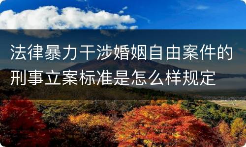 法律暴力干涉婚姻自由案件的刑事立案标准是怎么样规定