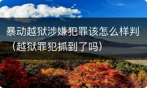 暴动越狱涉嫌犯罪该怎么样判（越狱罪犯抓到了吗）
