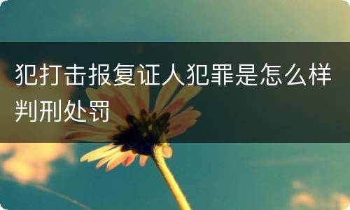 犯打击报复证人犯罪是怎么样判刑处罚