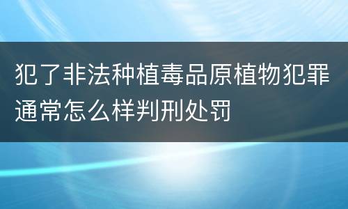 犯了非法种植毒品原植物犯罪通常怎么样判刑处罚