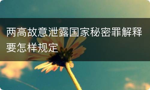 两高故意泄露国家秘密罪解释要怎样规定