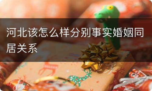 河北该怎么样分别事实婚姻同居关系