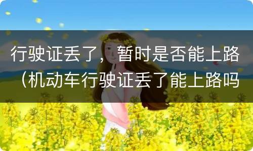 行驶证丢了，暂时是否能上路（机动车行驶证丢了能上路吗）