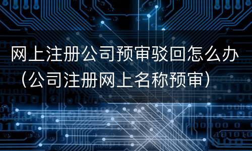 网上注册公司预审驳回怎么办（公司注册网上名称预审）