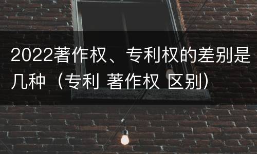 2022著作权、专利权的差别是几种（专利 著作权 区别）