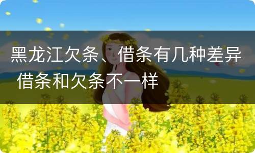 黑龙江欠条、借条有几种差异 借条和欠条不一样