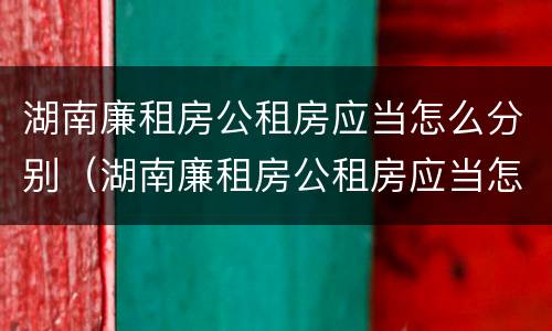 湖南廉租房公租房应当怎么分别（湖南廉租房公租房应当怎么分别申请入住）