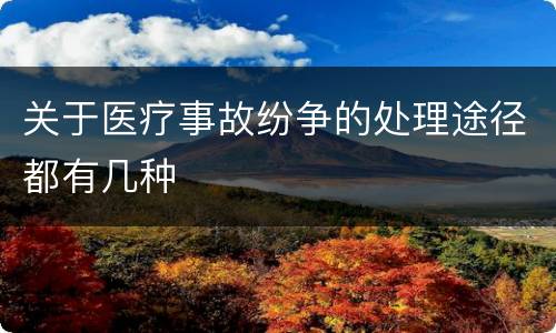 关于医疗事故纷争的处理途径都有几种