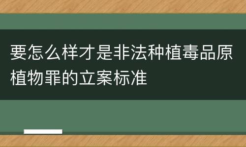 要怎么样才是非法种植毒品原植物罪的立案标准