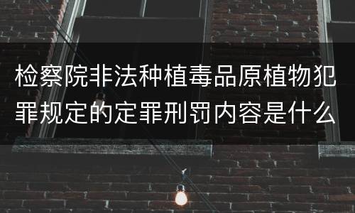 检察院非法种植毒品原植物犯罪规定的定罪刑罚内容是什么