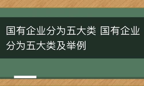 国有企业分为五大类 国有企业分为五大类及举例
