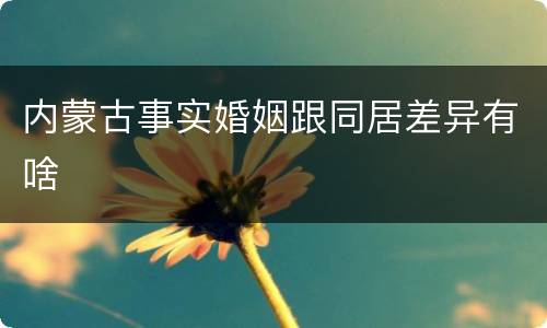 内蒙古事实婚姻跟同居差异有啥