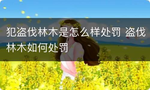 犯盗伐林木是怎么样处罚 盗伐林木如何处罚