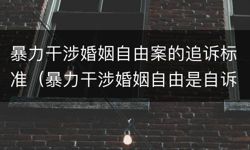 暴力干涉婚姻自由案的追诉标准（暴力干涉婚姻自由是自诉案件）