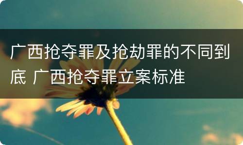 广西抢夺罪及抢劫罪的不同到底 广西抢夺罪立案标准