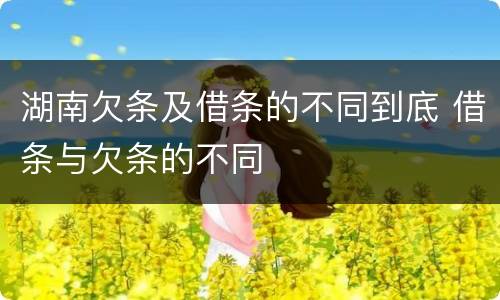 湖南欠条及借条的不同到底 借条与欠条的不同