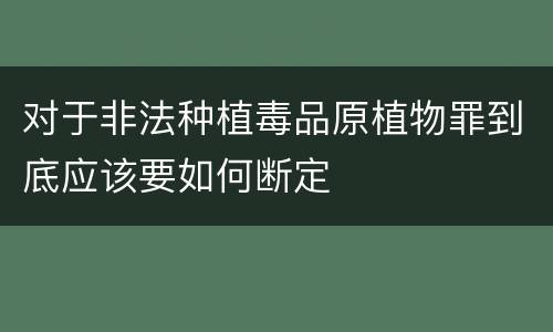 对于非法种植毒品原植物罪到底应该要如何断定