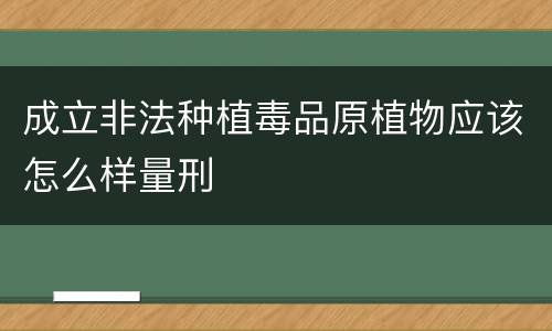 成立非法种植毒品原植物应该怎么样量刑