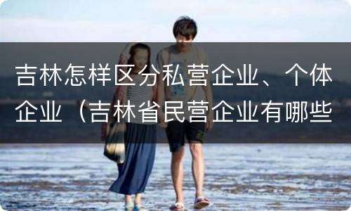 吉林怎样区分私营企业、个体企业（吉林省民营企业有哪些）