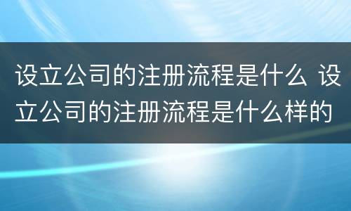 设立公司的注册流程是什么 设立公司的注册流程是什么样的