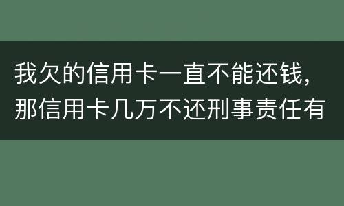 我欠的信用卡一直不能还钱，那信用卡几万不还刑事责任有吗