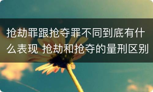 抢劫罪跟抢夺罪不同到底有什么表现 抢劫和抢夺的量刑区别