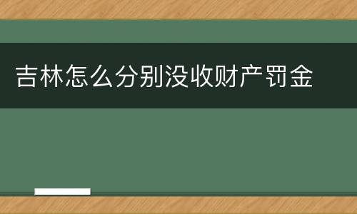 吉林怎么分别没收财产罚金