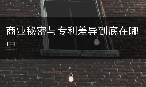 商业秘密与专利差异到底在哪里