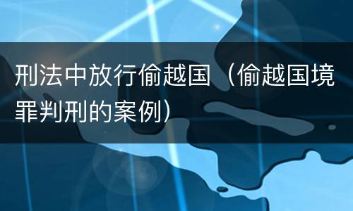 刑法中放行偷越国（偷越国境罪判刑的案例）