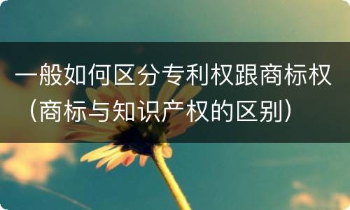 一般如何区分专利权跟商标权（商标与知识产权的区别）