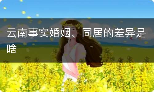 云南事实婚姻、同居的差异是啥