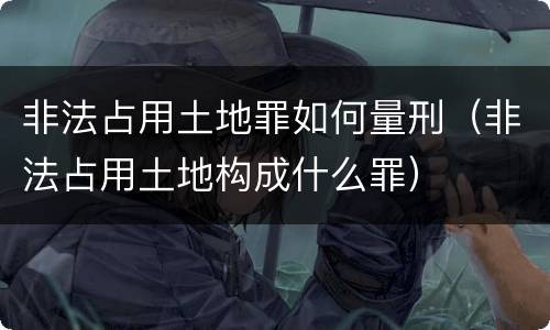 非法占用土地罪如何量刑（非法占用土地构成什么罪）