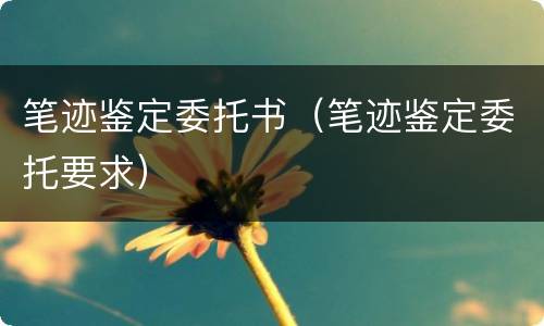 笔迹鉴定委托书(笔迹鉴定委托要求)