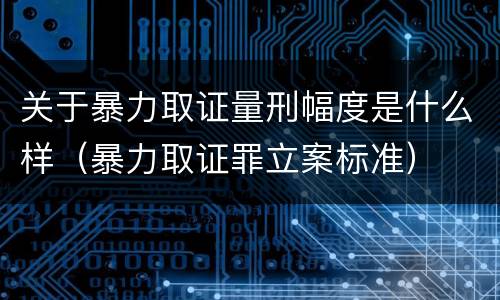 关于暴力取证量刑幅度是什么样（暴力取证罪立案标准）
