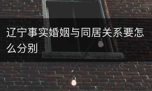 辽宁事实婚姻与同居关系要怎么分别