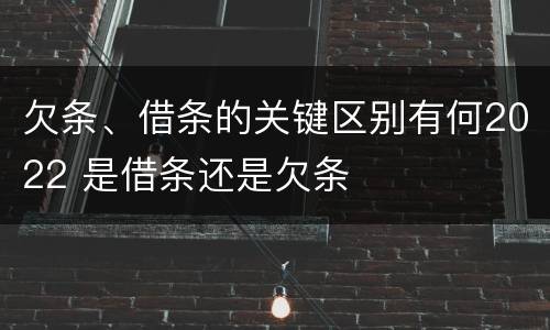 欠条、借条的关键区别有何2022 是借条还是欠条