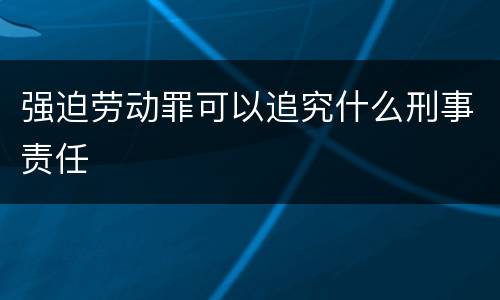 强迫劳动罪可以追究什么刑事责任