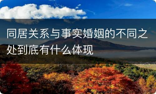 同居关系与事实婚姻的不同之处到底有什么体现