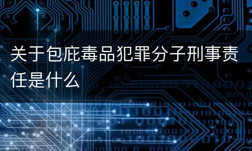 关于包庇毒品犯罪分子刑事责任是什么