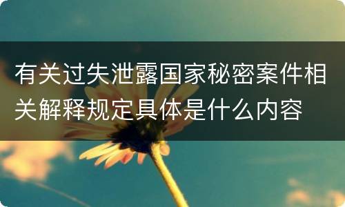 有关过失泄露国家秘密案件相关解释规定具体是什么内容