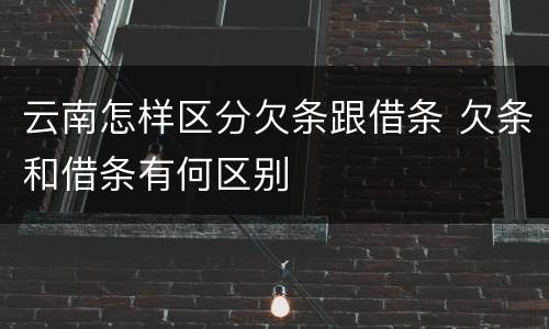 云南怎样区分欠条跟借条 欠条和借条有何区别