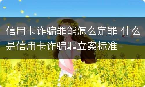 信用卡诈骗罪能怎么定罪 什么是信用卡诈骗罪立案标准
