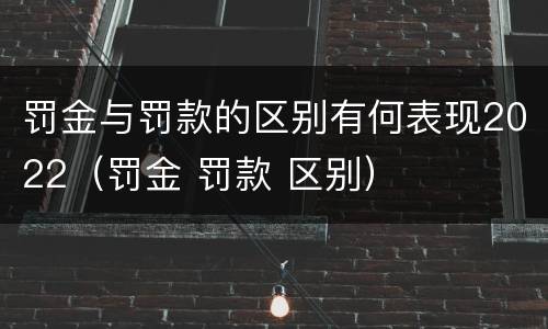 罚金与罚款的区别有何表现2022（罚金 罚款 区别）